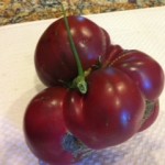 giant tomato
