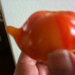 teapot tomato